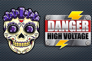 Danger High Voltage